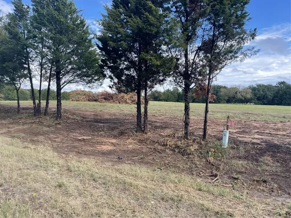 a view of outdoor space with trees