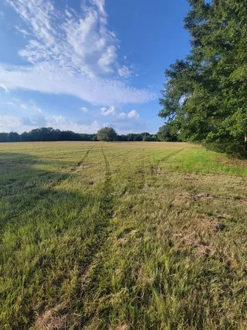 a view of outdoor space with garden