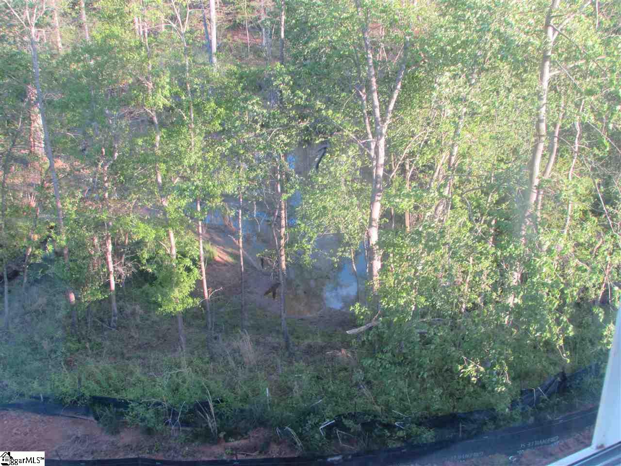 109 Lyman Lake Road Lyman, SC 29365 - Photo 29 of 29