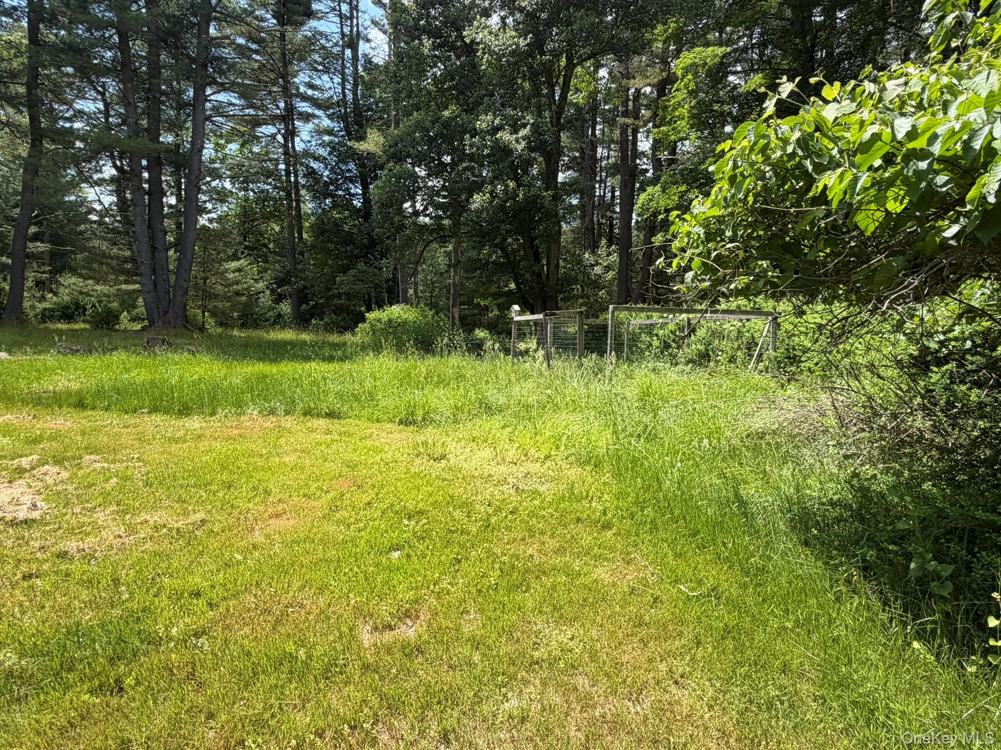 5 Steges Road Eldred, NY 12732 - Photo 7 of 19