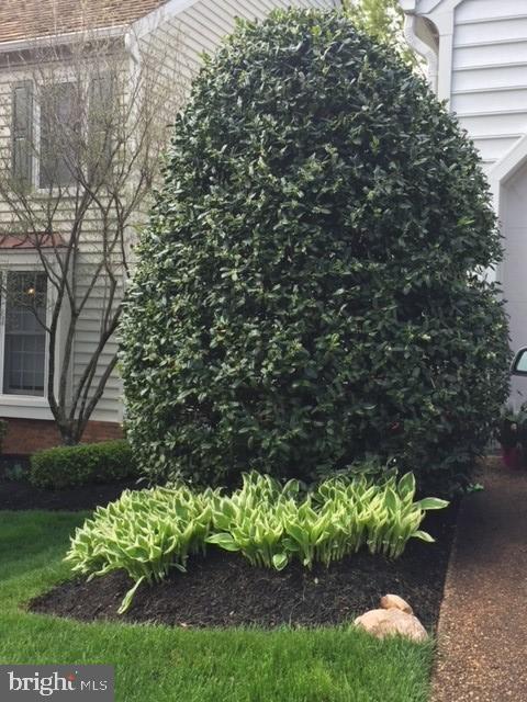 9707 Hidden Valley Road Vienna, VA 22181 - Photo 30 of 44 Professional landscaping