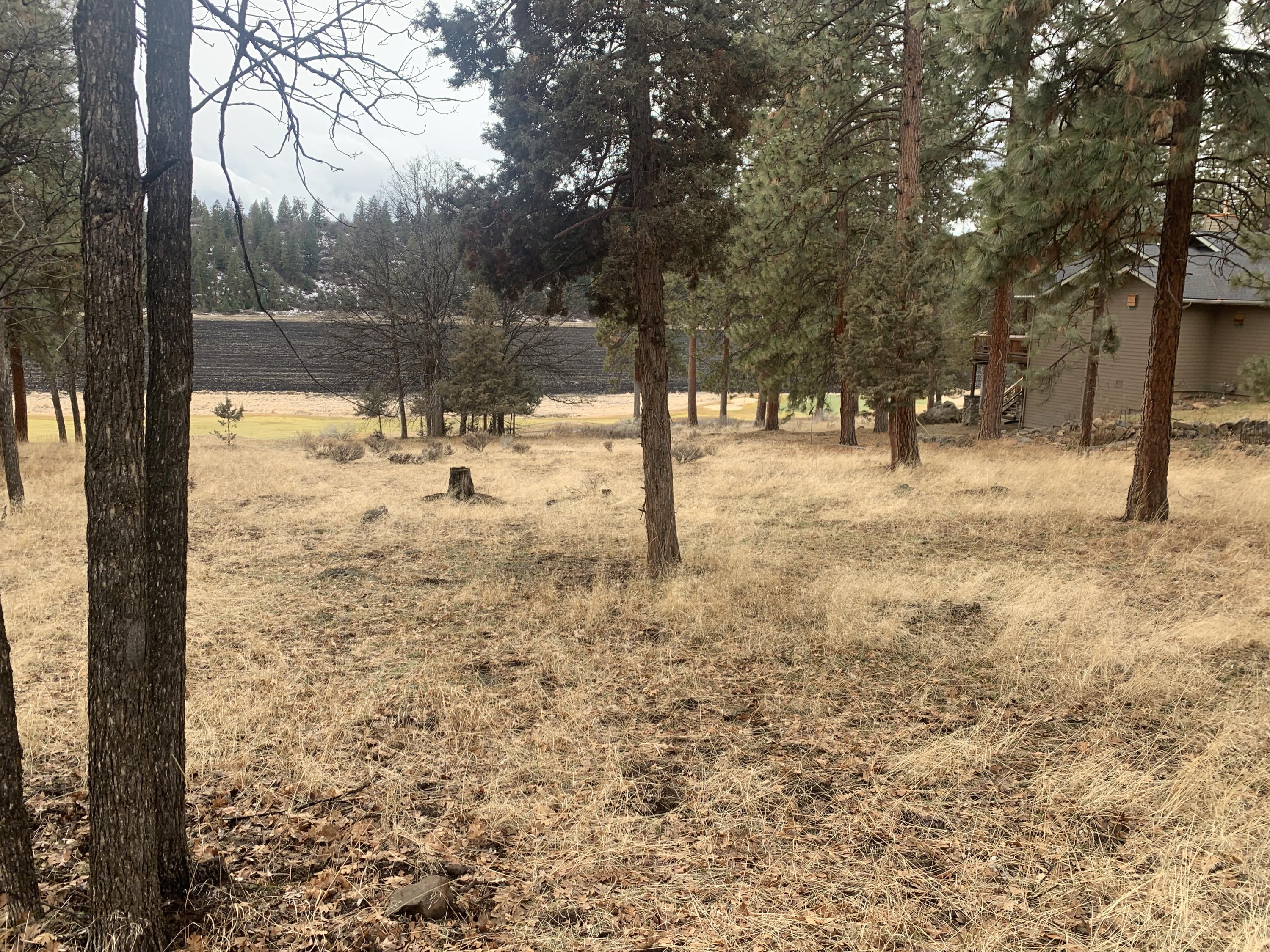 Lot 69 Merganser Road Klamath Falls, OR 97601 - Photo 5 of 20 IMG_9645