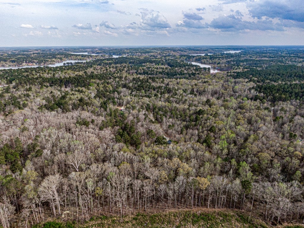 Lot 9 Old Copelan Road Eatonton, GA 31024 - Photo 17 of 23 Gallery Image 17