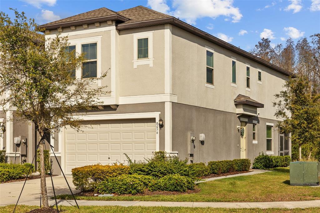 8056 Rolling Shell Trail Wesley Chapel, FL 33545 - Photo 1 of 1 a front view of a house with a yard