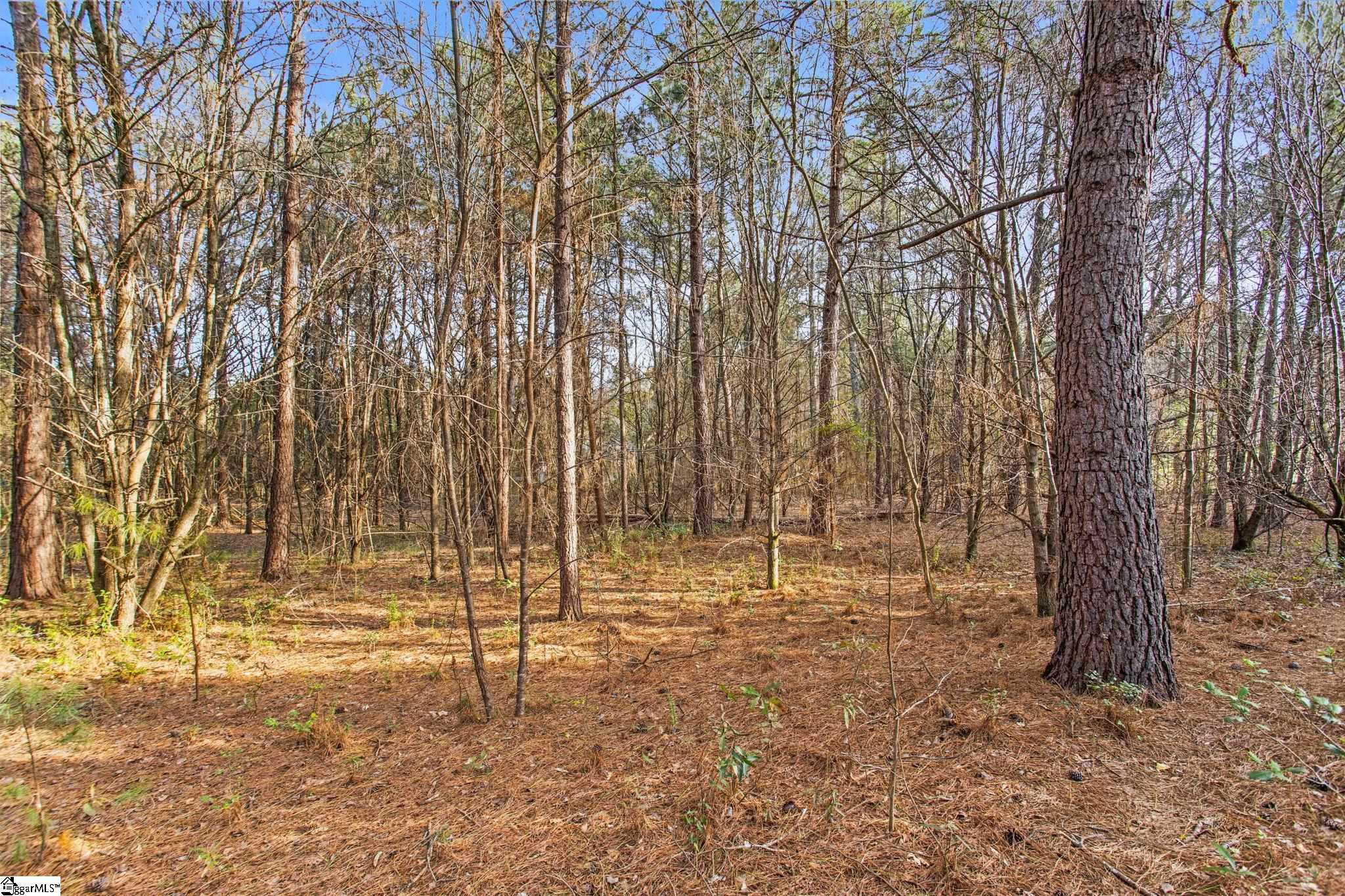 244 East Standing Springs Road Simpsonville, SC 29680 - Photo 7 of 12 Gallery Image 7