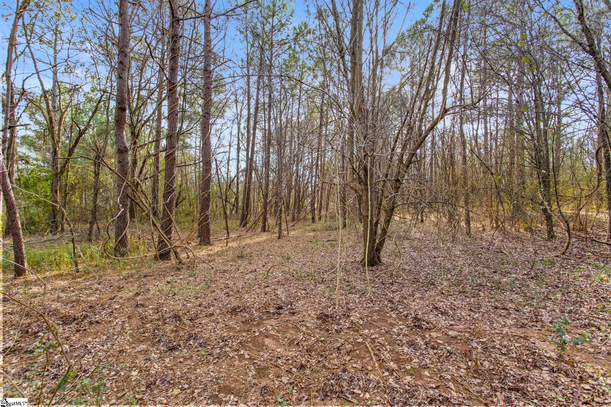 244 East Standing Springs Road Simpsonville, SC 29680 - Photo 8 of 12 Gallery Image 8