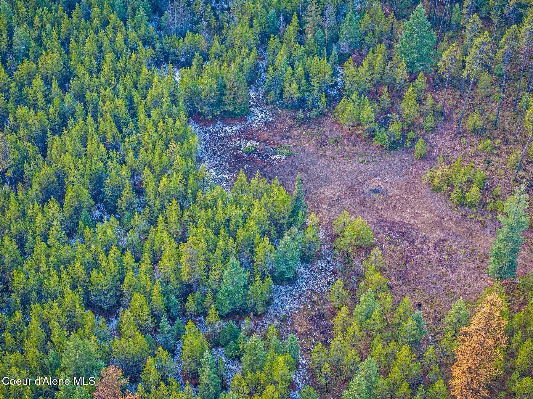 762 Reeder Bay Road Nordman, ID 83848 - Photo 59 of 74 Open Area at Back at property