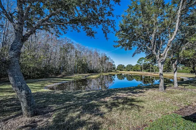 $319,900 | 1549 Arlington Oaks Court, Trinity, FL 34655