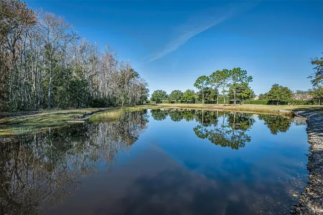 $319,900 | 1549 Arlington Oaks Court, Trinity, FL 34655