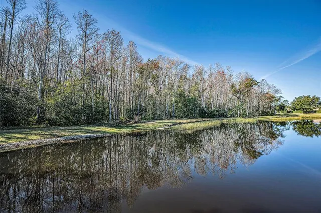 $319,900 | 1549 Arlington Oaks Court, Trinity, FL 34655