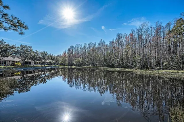 $319,900 | 1549 Arlington Oaks Court, Trinity, FL 34655