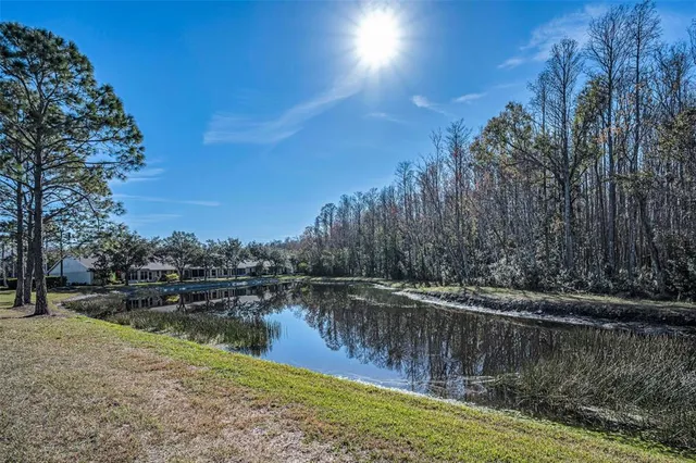 $319,900 | 1549 Arlington Oaks Court, Trinity, FL 34655