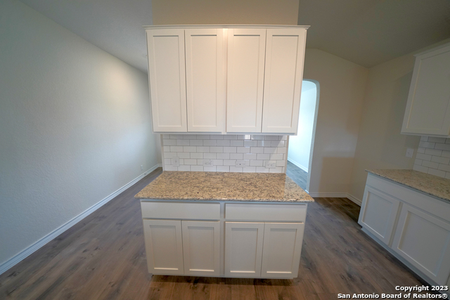 336 Great Raft Cibolo, TX 78108 - Photo 20 of 38