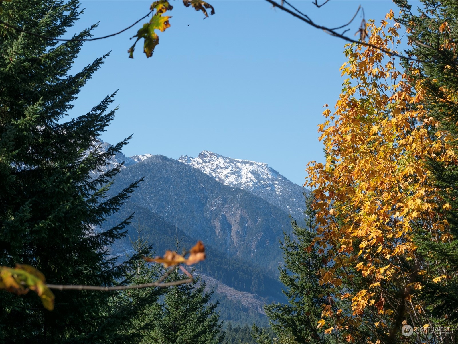 999 Blue Mountain Road Port Angeles, WA 98362 - Photo 12 of 40