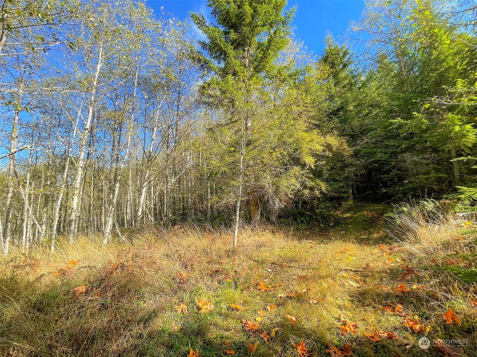 999 Blue Mountain Road Port Angeles, WA 98362 - Photo 14 of 40