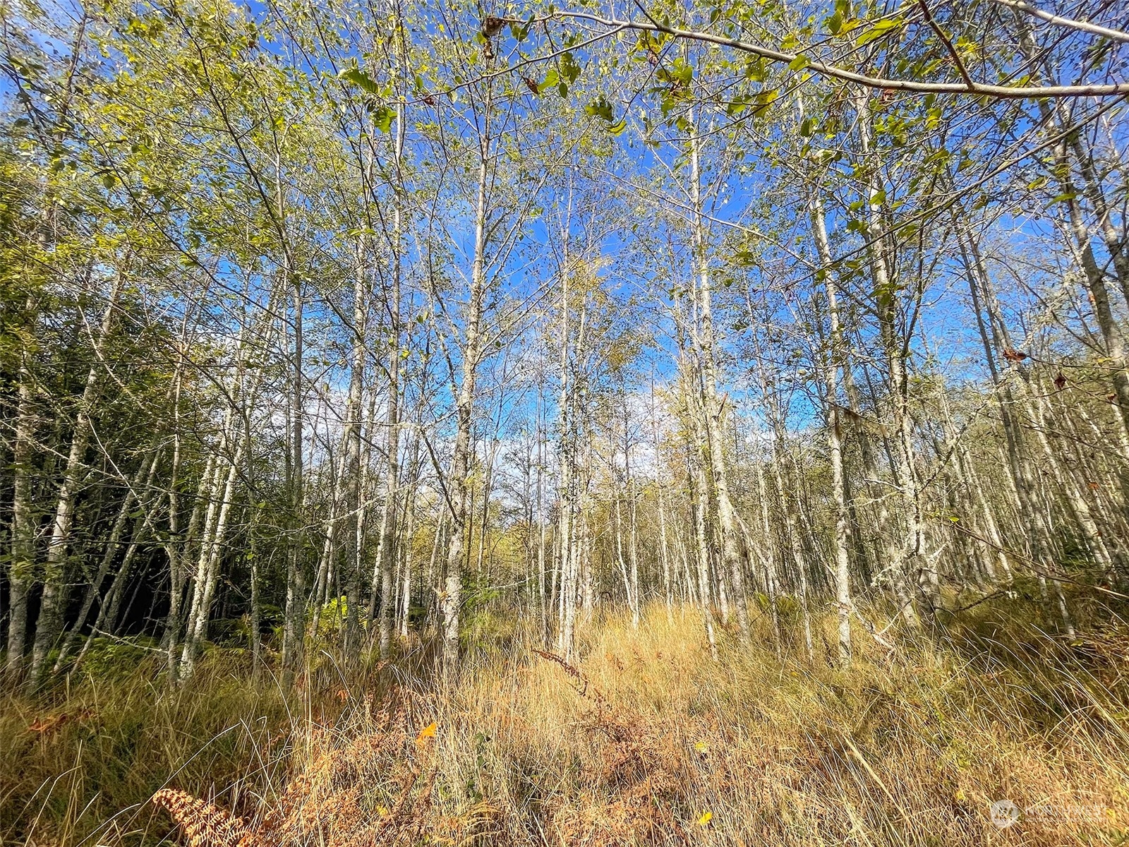 999 Blue Mountain Road Port Angeles, WA 98362 - Photo 15 of 40