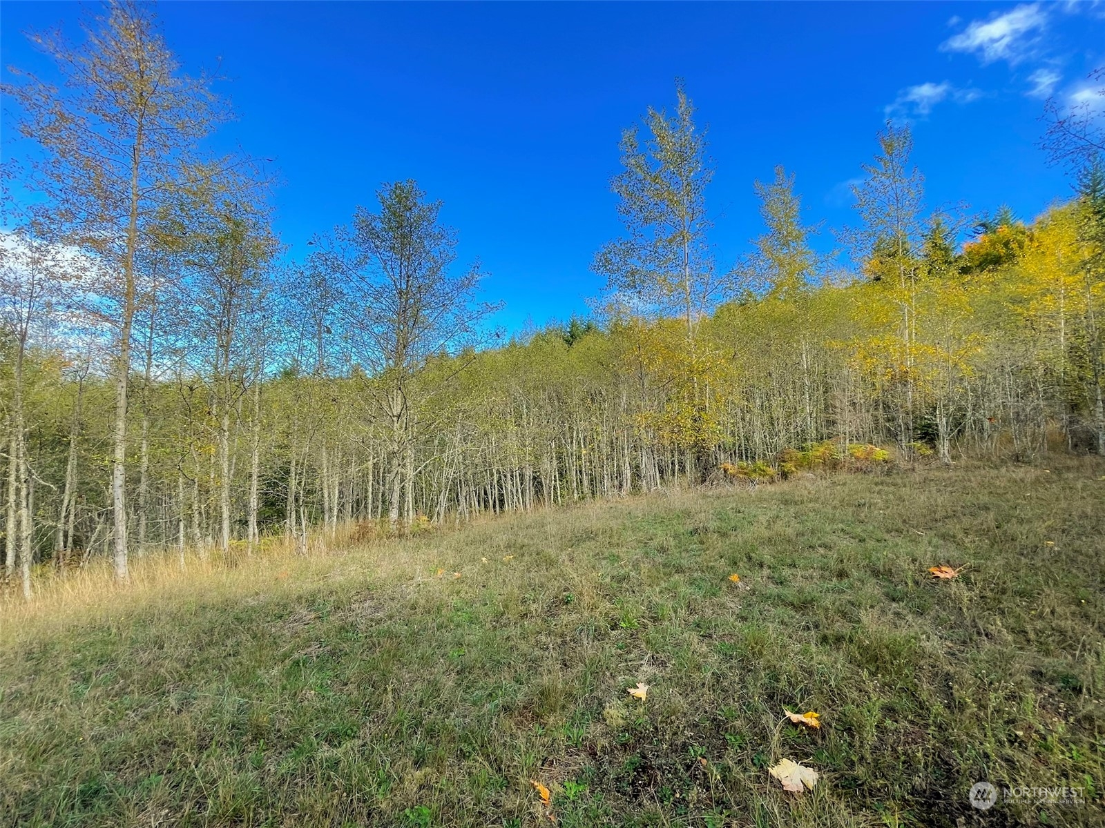 999 Blue Mountain Road Port Angeles, WA 98362 - Photo 18 of 40