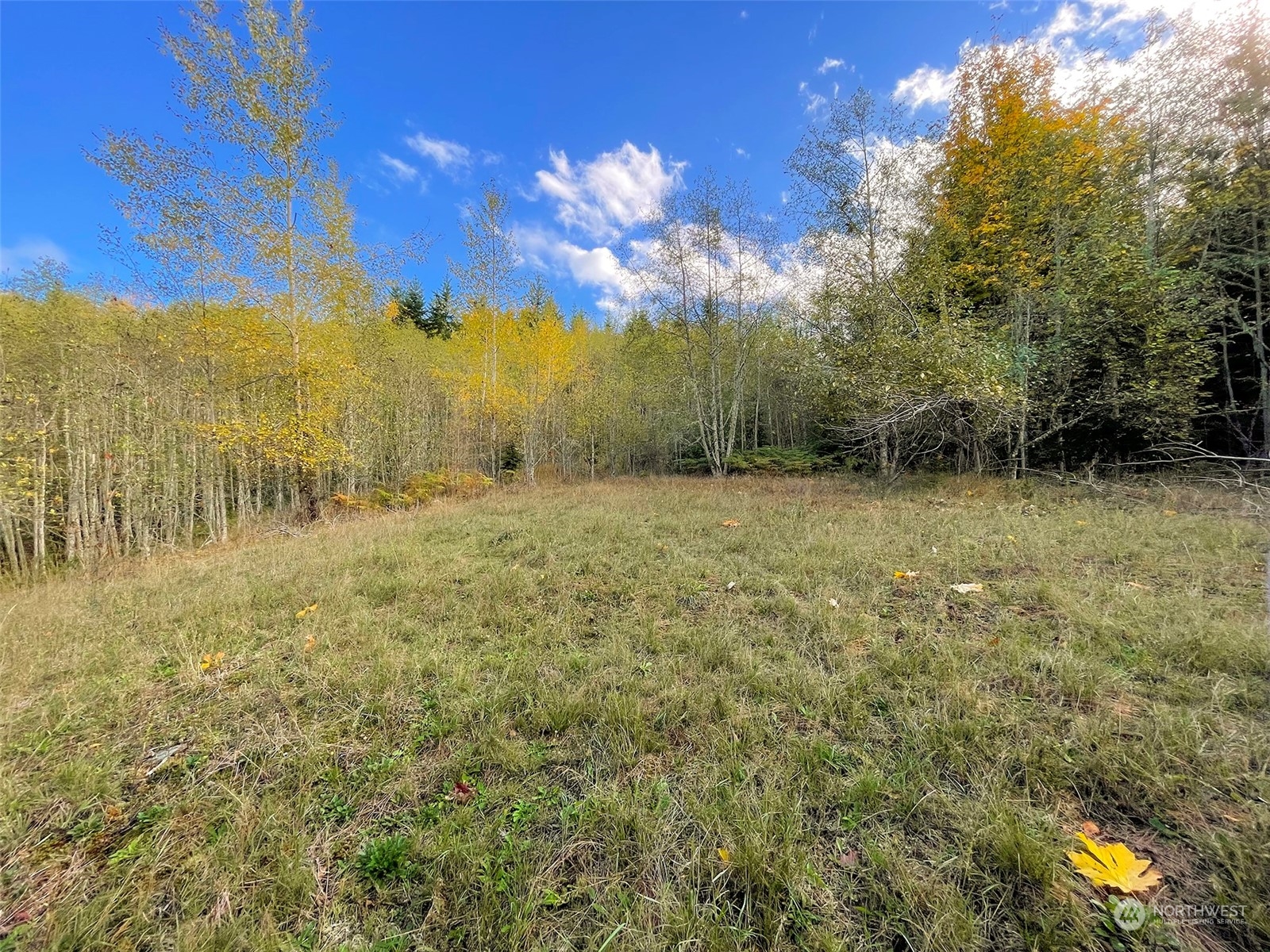 999 Blue Mountain Road Port Angeles, WA 98362 - Photo 19 of 40