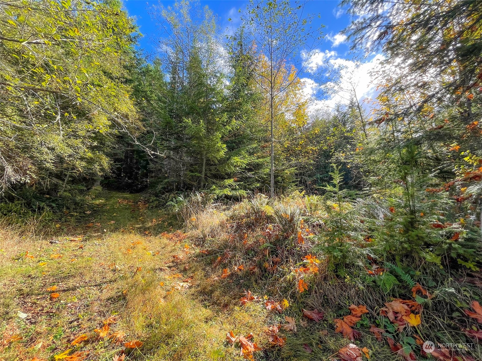 999 Blue Mountain Road Port Angeles, WA 98362 - Photo 22 of 40