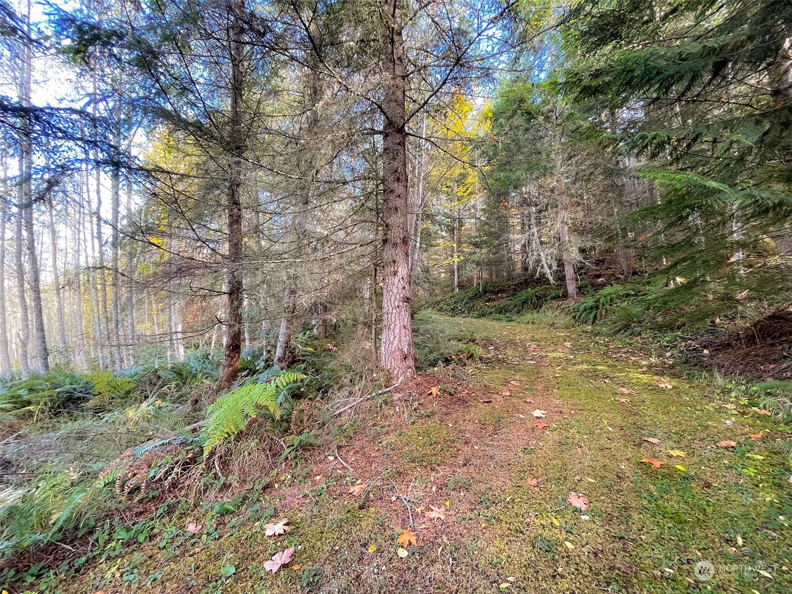 999 Blue Mountain Road Port Angeles, WA 98362 - Photo 23 of 40