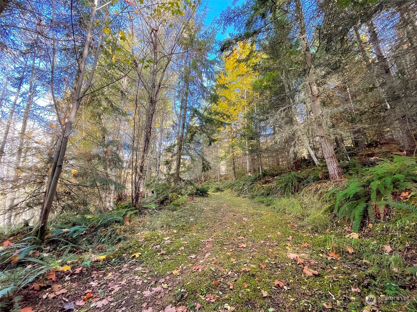 999 Blue Mountain Road Port Angeles, WA 98362 - Photo 24 of 40