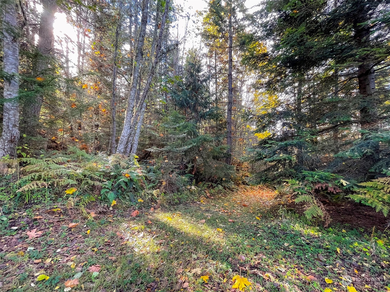 999 Blue Mountain Road Port Angeles, WA 98362 - Photo 25 of 40