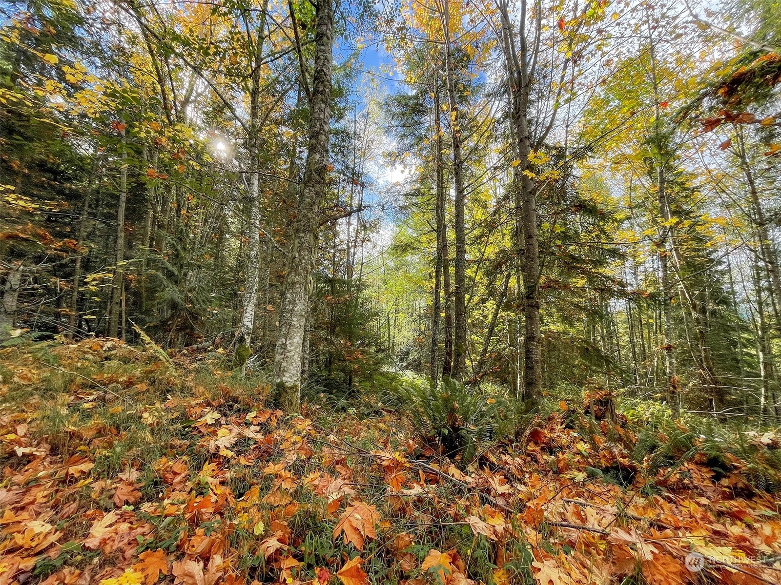 999 Blue Mountain Road Port Angeles, WA 98362 - Photo 26 of 40