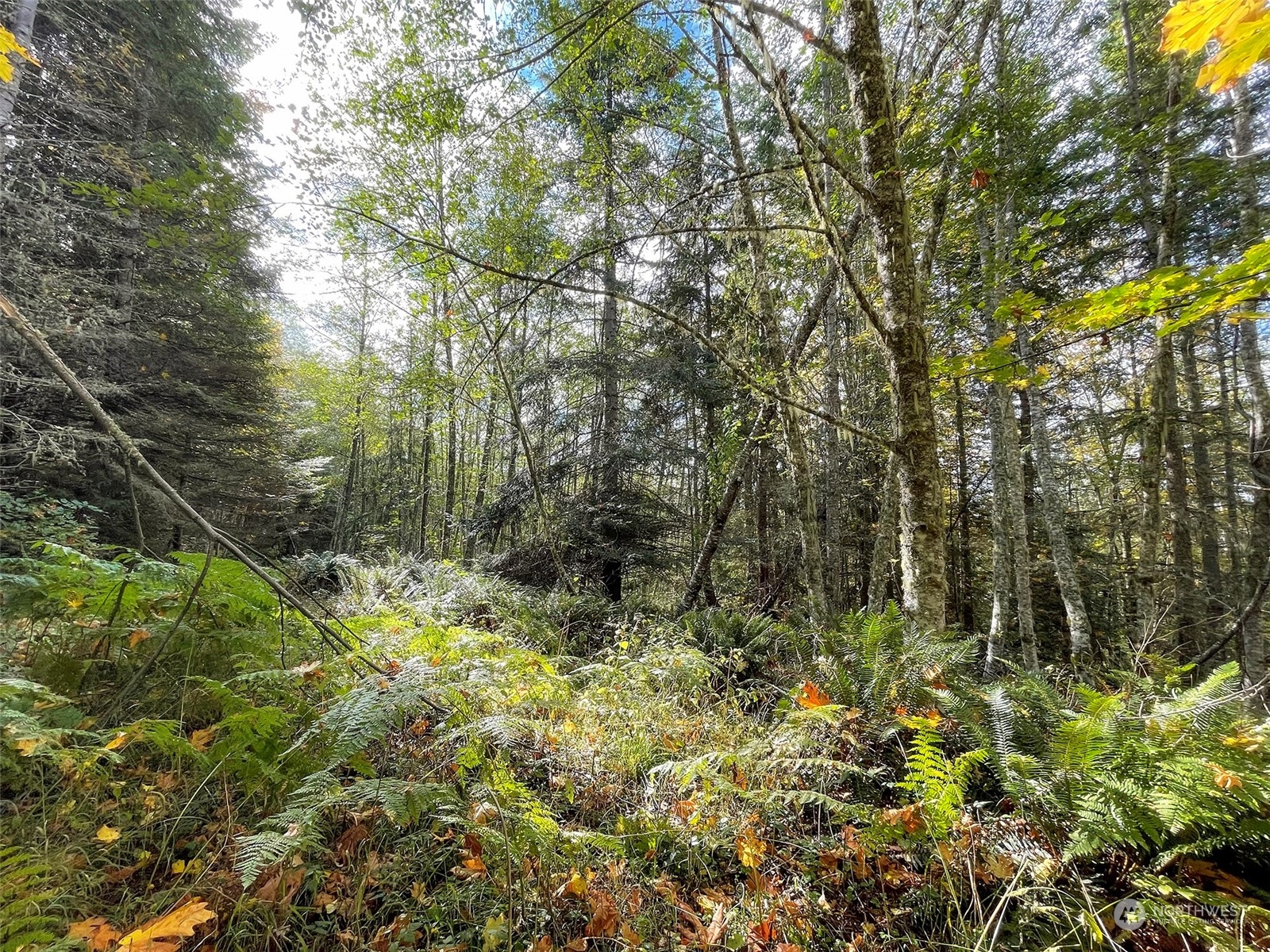 999 Blue Mountain Road Port Angeles, WA 98362 - Photo 28 of 40