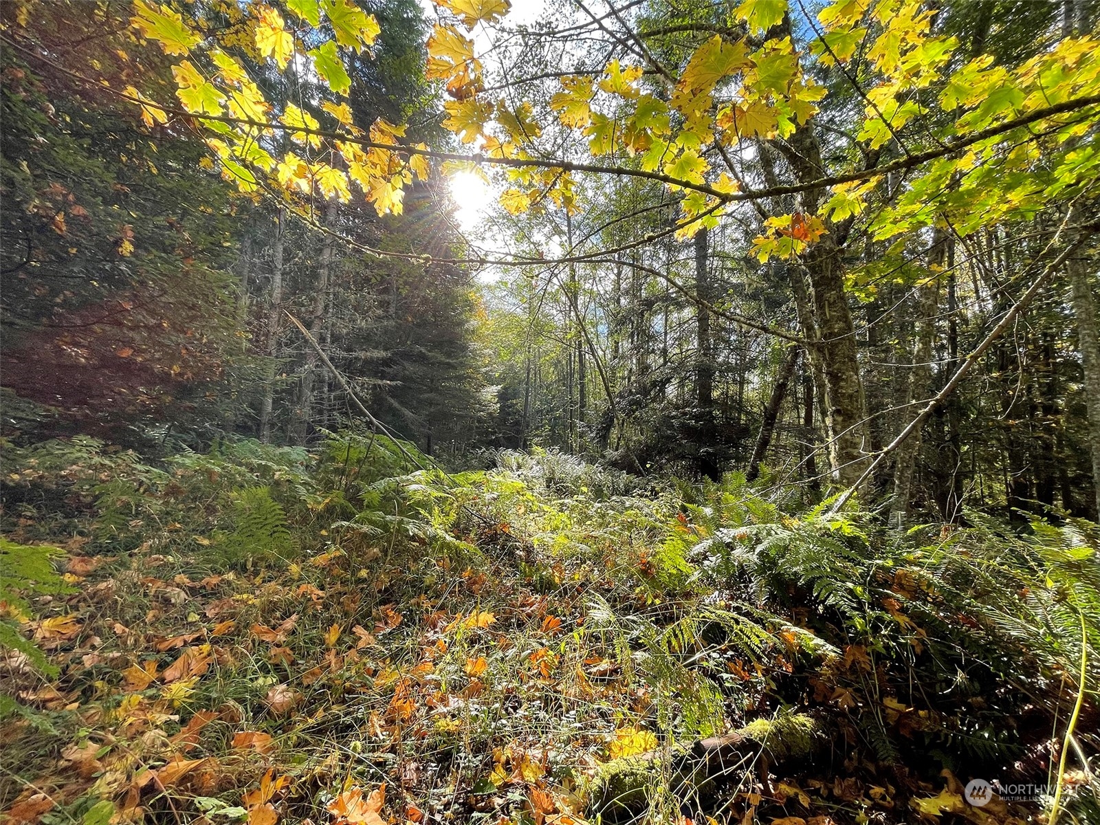 999 Blue Mountain Road Port Angeles, WA 98362 - Photo 29 of 40