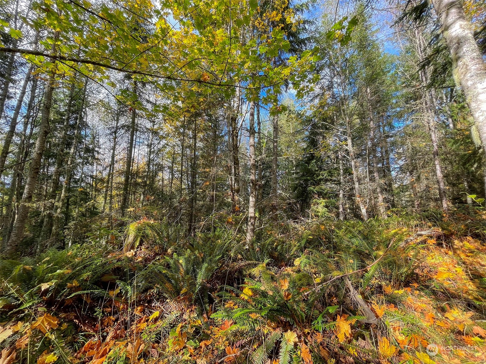 999 Blue Mountain Road Port Angeles, WA 98362 - Photo 30 of 40