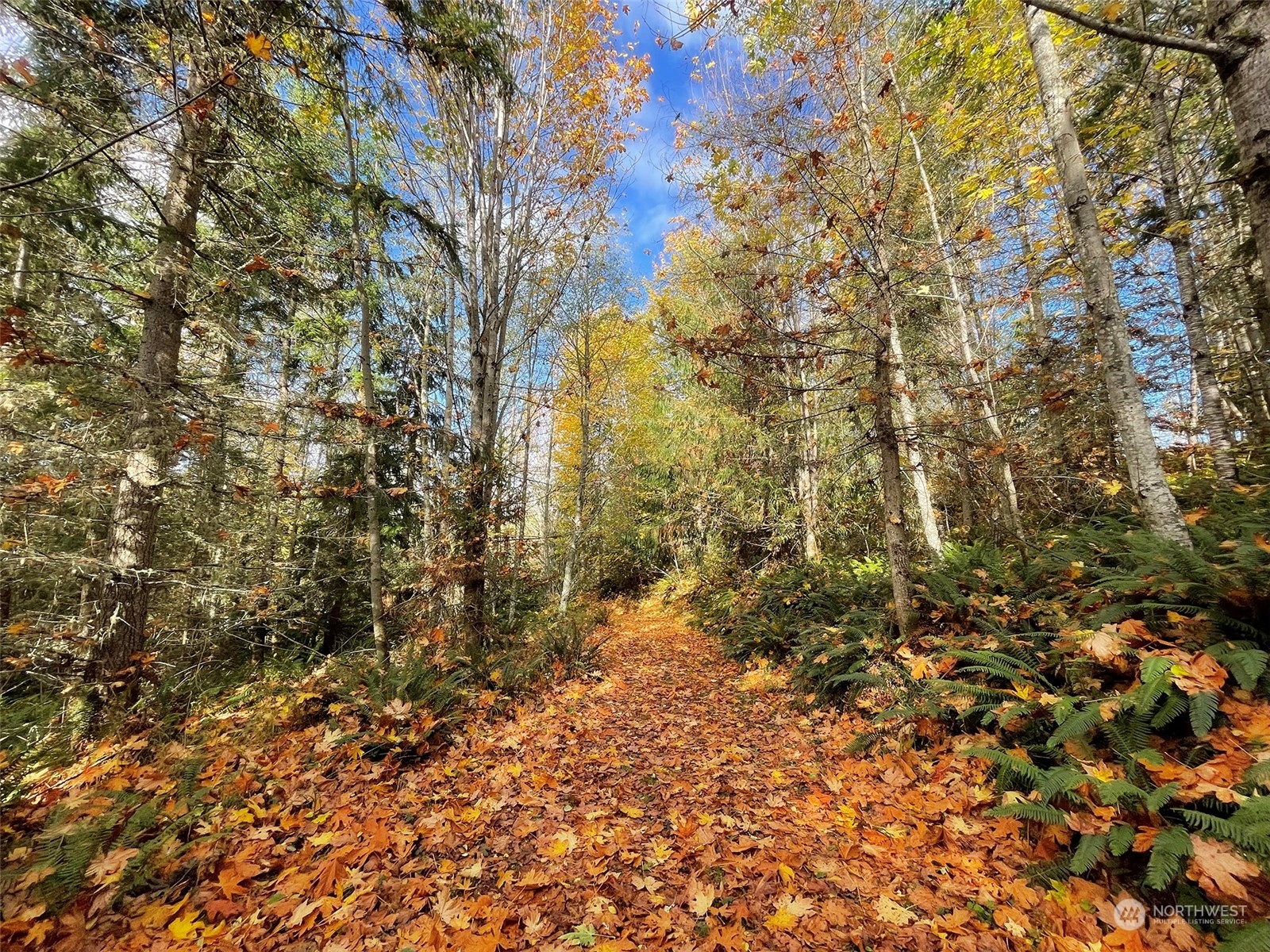 999 Blue Mountain Road Port Angeles, WA 98362 - Photo 31 of 40