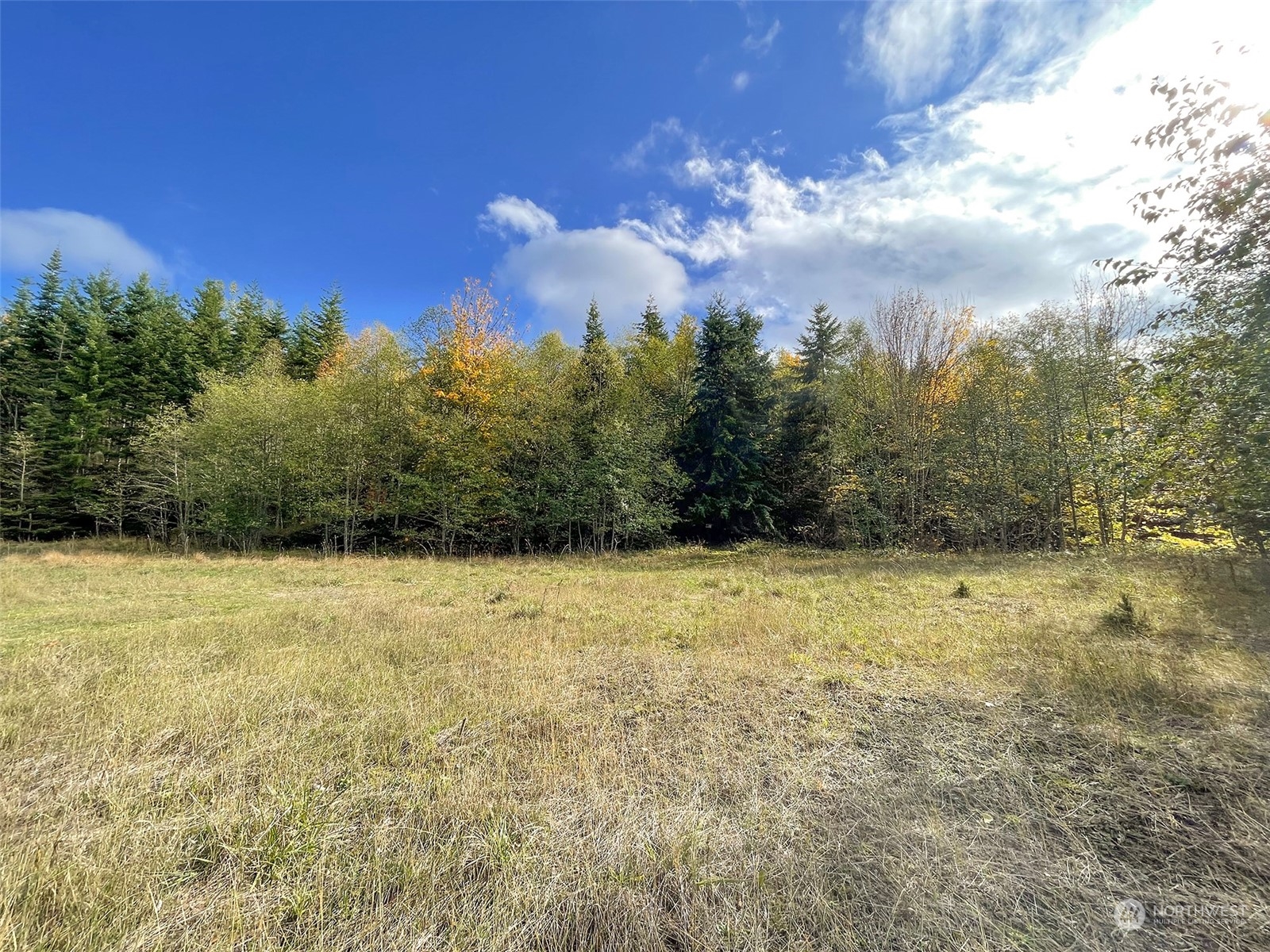 999 Blue Mountain Road Port Angeles, WA 98362 - Photo 32 of 40