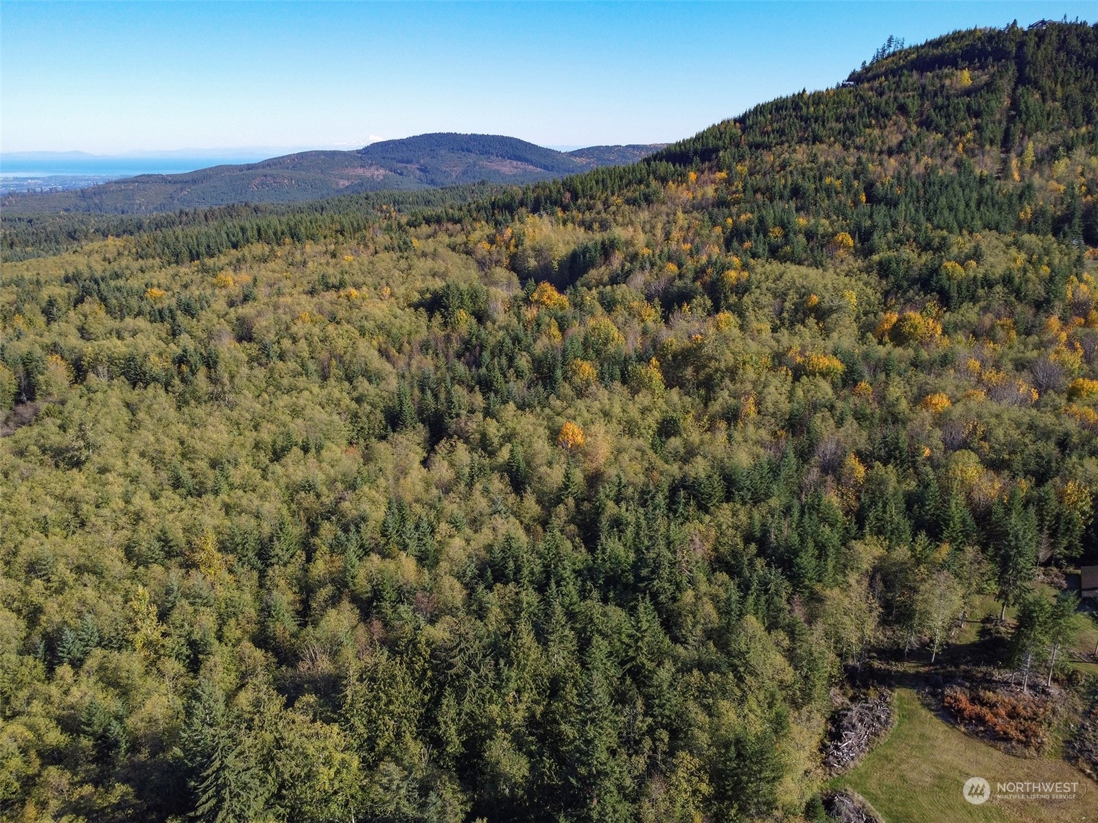 999 Blue Mountain Road Port Angeles, WA 98362 - Photo 5 of 40