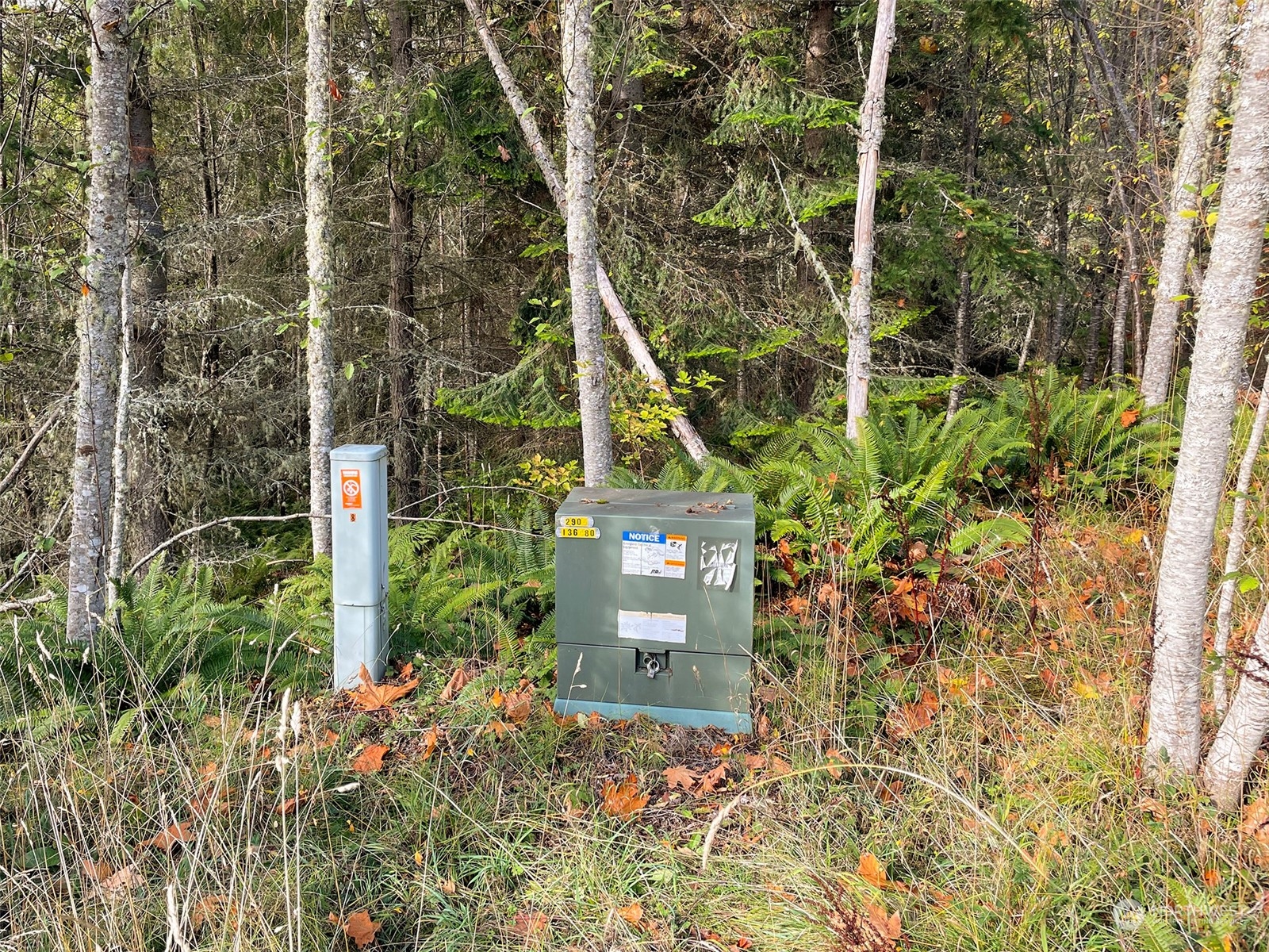 999 Blue Mountain Road Port Angeles, WA 98362 - Photo 6 of 40