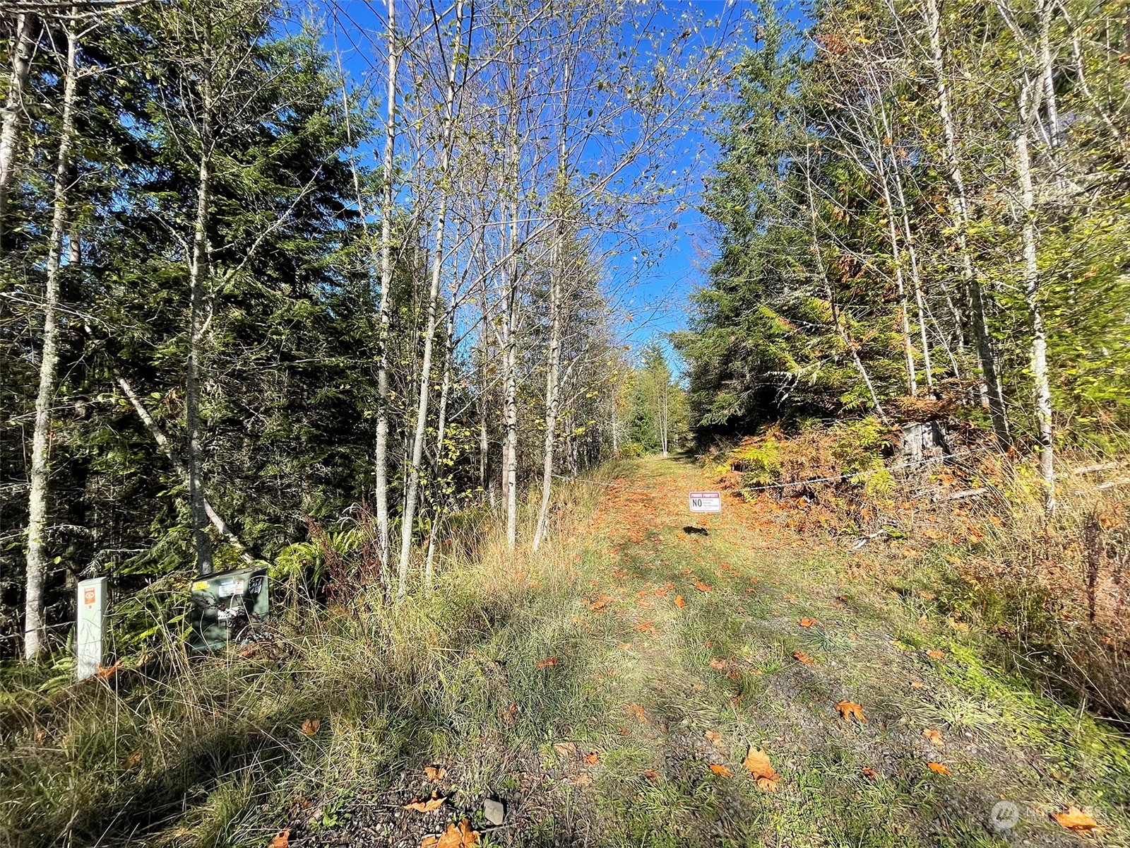 999 Blue Mountain Road Port Angeles, WA 98362 - Photo 7 of 40