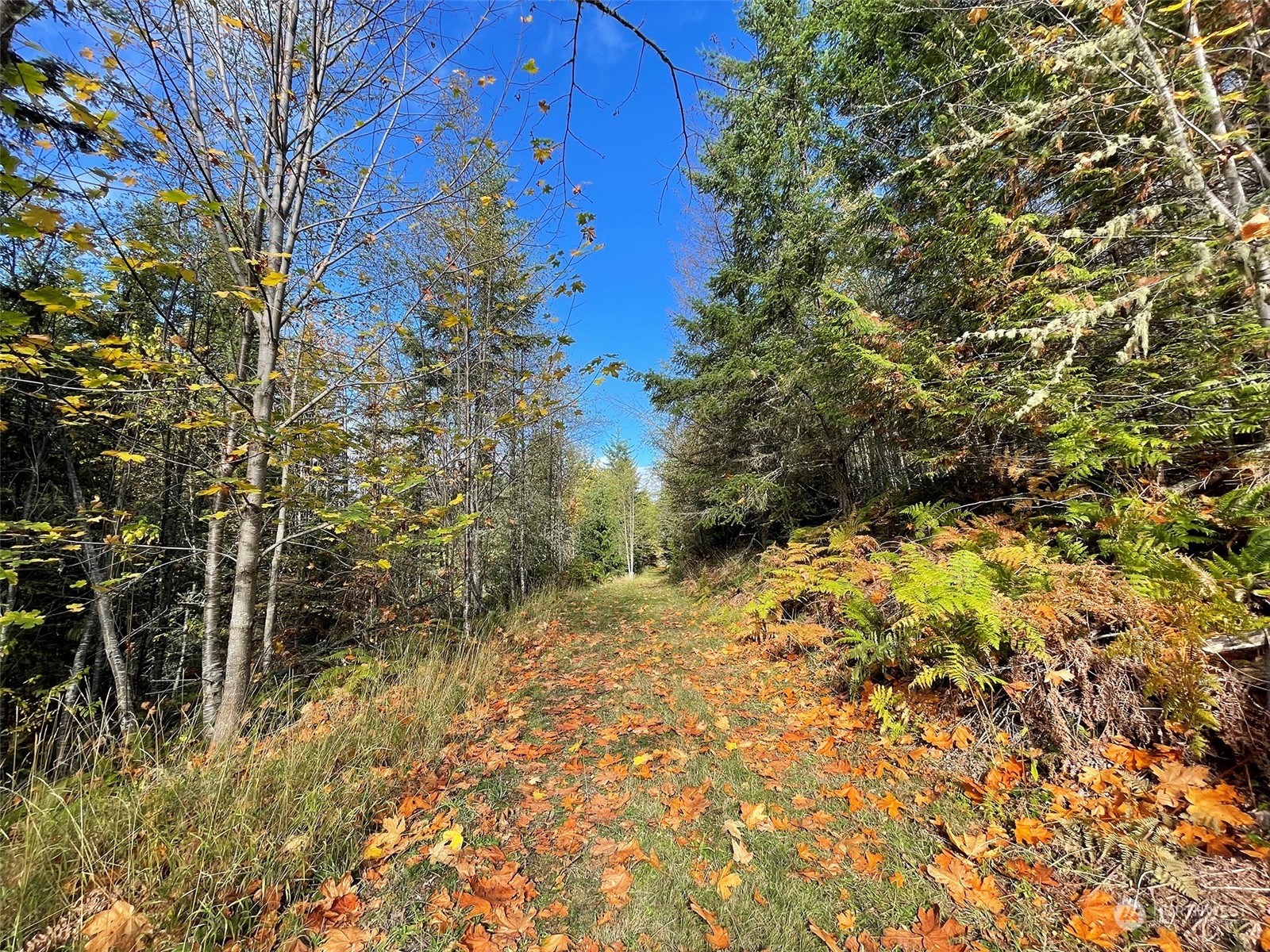 999 Blue Mountain Road Port Angeles, WA 98362 - Photo 8 of 40