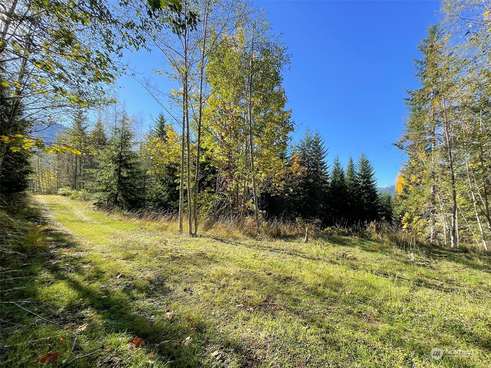 999 Blue Mountain Road Port Angeles, WA 98362 - Photo 9 of 40