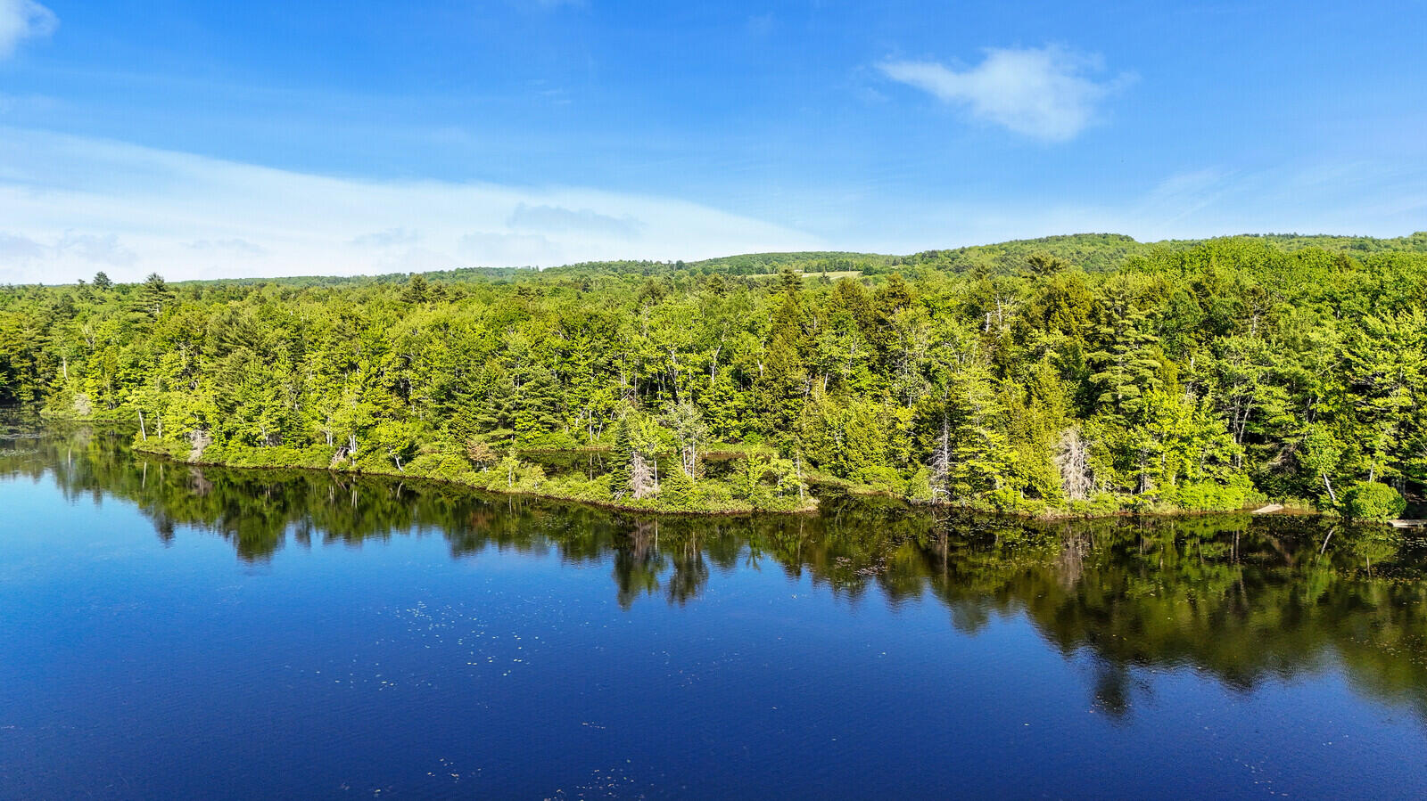 230 250 290 Beaver Ridge Road Palermo, ME 04354 - Photo 13 of 19 Pond View