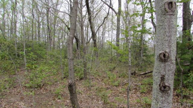 Lot#8 Walker Ridge Road Spruce Pine, NC 28777 - Photo 2 of 10 Gallery Image 2