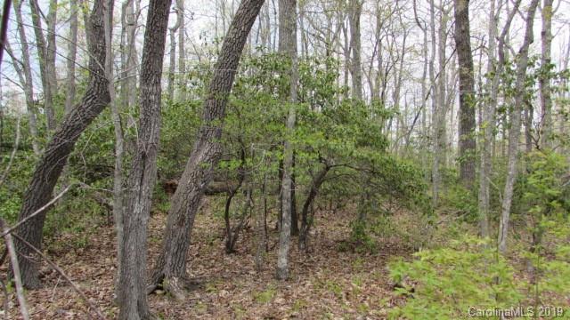Lot#8 Walker Ridge Road Spruce Pine, NC 28777 - Photo 3 of 10 Gallery Image 3