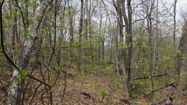 Lot#8 Walker Ridge Road Spruce Pine, NC 28777 - Photo 4 of 10 Gallery Image 4