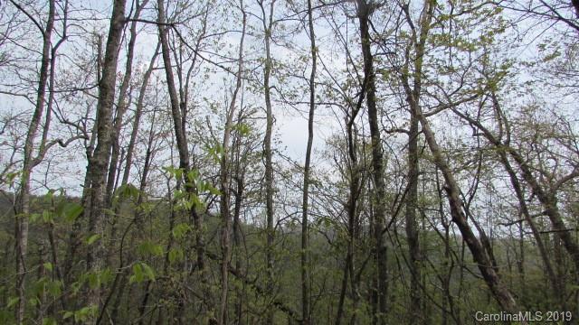 Lot#8 Walker Ridge Road Spruce Pine, NC 28777 - Photo 5 of 10 Gallery Image 5