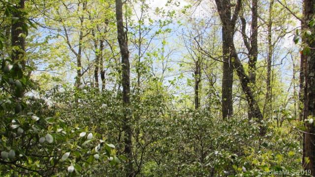 Lot#8 Walker Ridge Road Spruce Pine, NC 28777 - Photo 7 of 10 Gallery Image 7