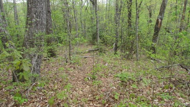 Lot#8 Walker Ridge Road Spruce Pine, NC 28777 - Photo 9 of 10 Gallery Image 9