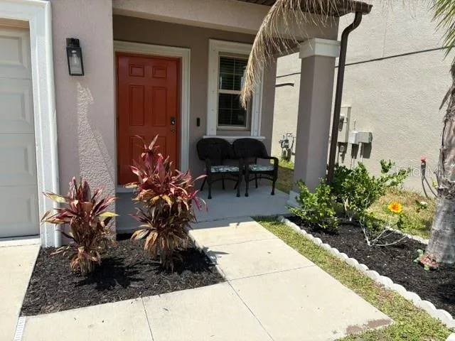 a potted plant sitting in front of a house