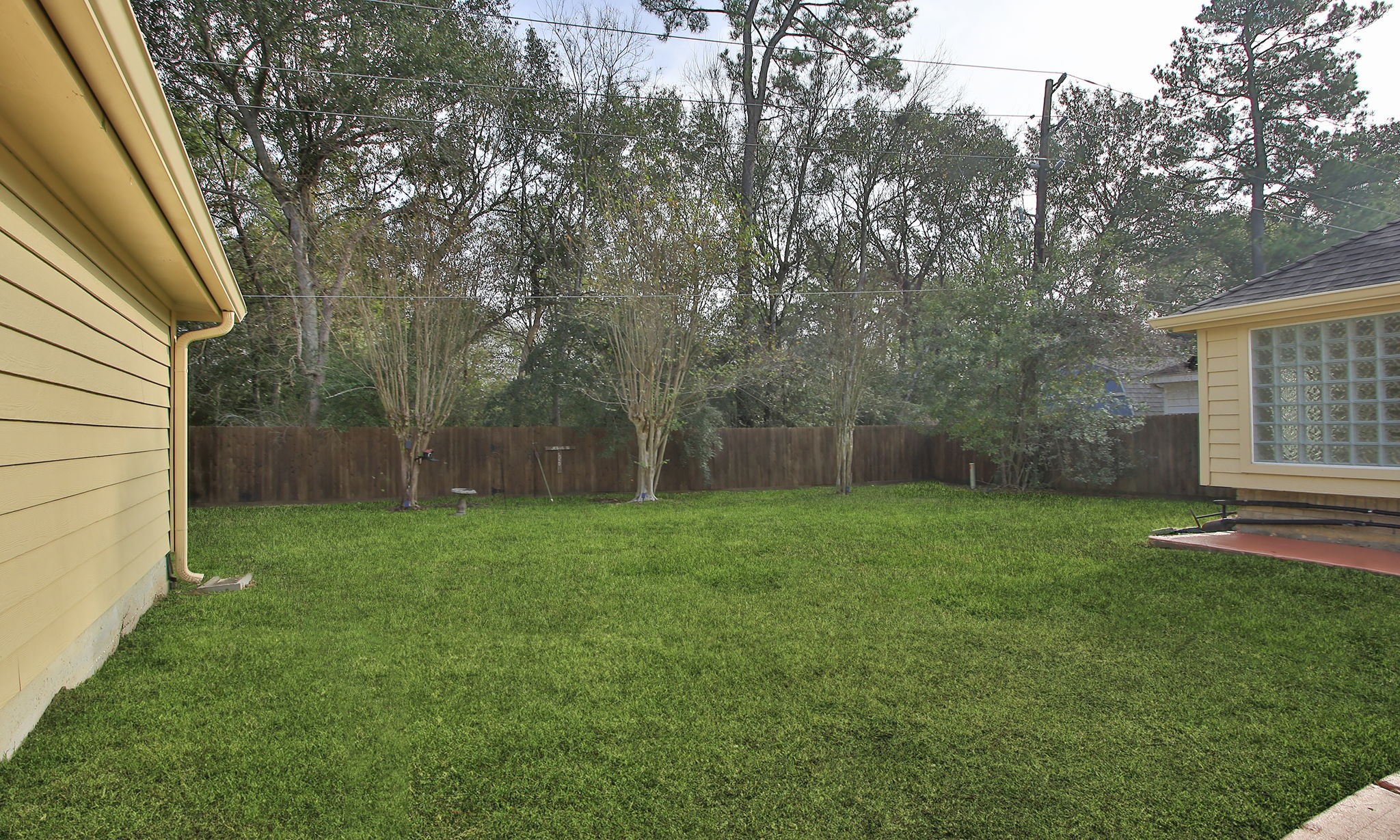 20206 Treetop Lane Spring, TX 77388 - Photo 37 of 42 a view of a backyard with plants and large trees