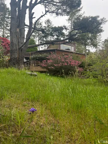 a backyard of a house with lots of green space