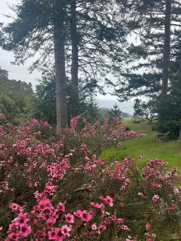 a view of an ocean and a mountain