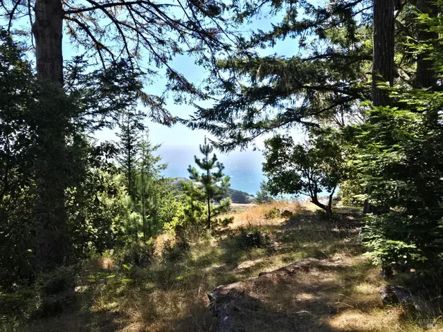 a map view of location