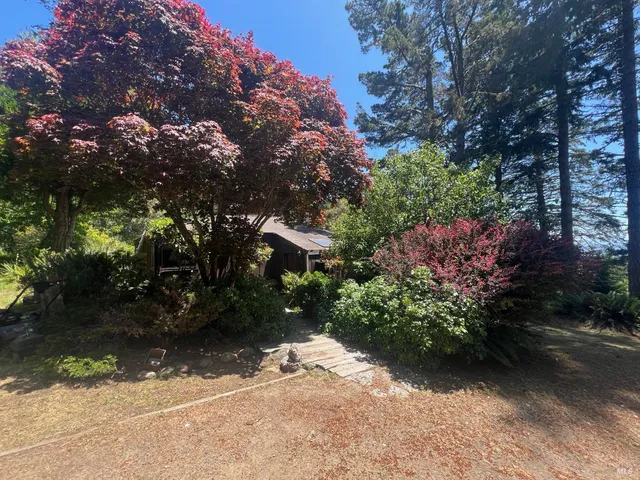 a view of swimming pool with an outdoor space